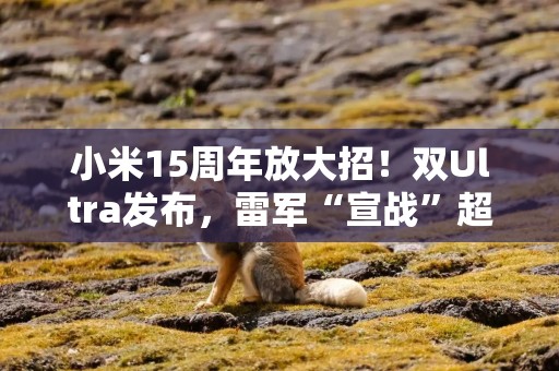 小米15周年放大招！双Ultra发布，雷军“宣战”超高端市场