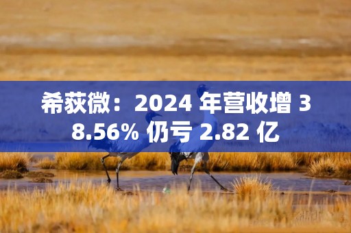 希荻微：2024 年营收增 38.56% 仍亏 2.82 亿