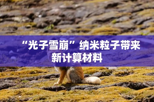 “光子雪崩”纳米粒子带来新计算材料