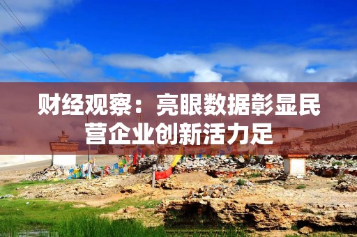 财经观察：亮眼数据彰显民营企业创新活力足