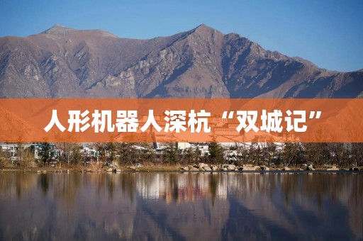 人形机器人深杭“双城记”