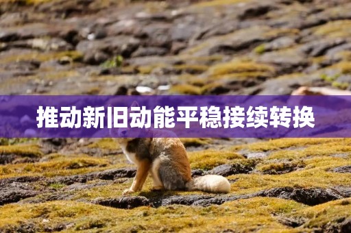 推动新旧动能平稳接续转换