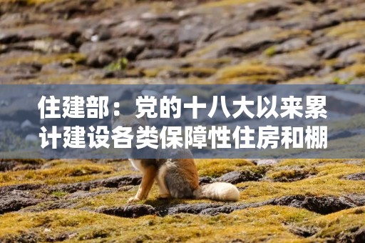 住建部：党的十八大以来累计建设各类保障性住房和棚改安置住房6800多万套