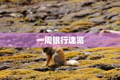 一周银行速览