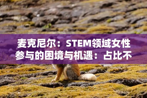 麦克尼尔：STEM领域女性参与的困境与机遇：占比不足 28%