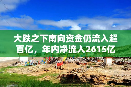 大跌之下南向资金仍流入超百亿，年内净流入2615亿，如何看港股调整？