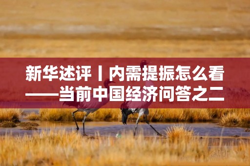 新华述评丨内需提振怎么看——当前中国经济问答之二