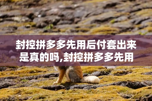 封控拼多多先用后付套出来是真的吗,封控拼多多先用后付套出来的真相探究