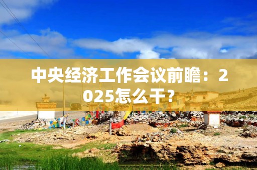 中央经济工作会议前瞻：2025怎么干？