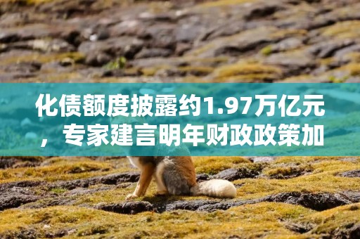 化债额度披露约1.97万亿元，专家建言明年财政政策加力