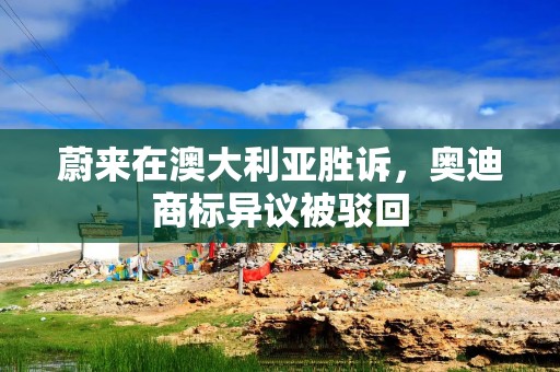 蔚来在澳大利亚胜诉，奥迪商标异议被驳回