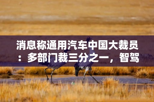 消息称通用汽车中国大裁员：多部门裁三分之一，智驾研发团队清零