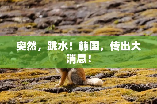 突然，跳水！韩国，传出大消息！