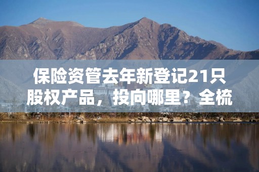 保险资管去年新登记21只股权产品，投向哪里？全梳理来了