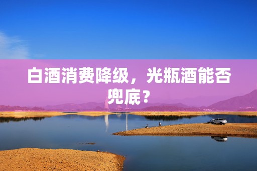 白酒消费降级，光瓶酒能否兜底？