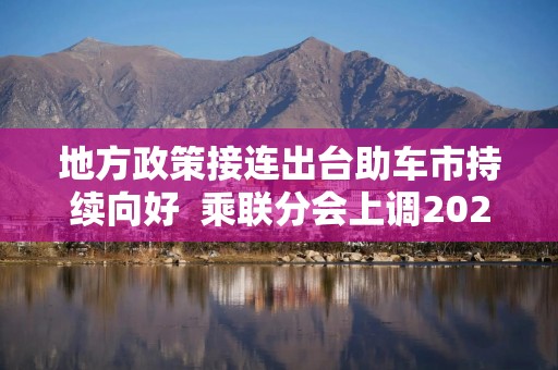 地方政策接连出台助车市持续向好  乘联分会上调2025年零售预测