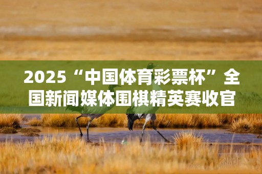 2025“中国体育彩票杯”全国新闻媒体围棋精英赛收官