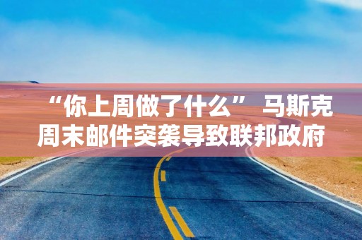 “你上周做了什么” 马斯克周末邮件突袭导致联邦政府吃官司