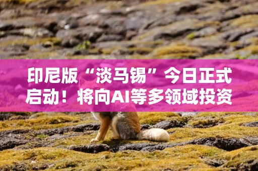 印尼版“淡马锡”今日正式启动！将向AI等多领域投资200亿美元