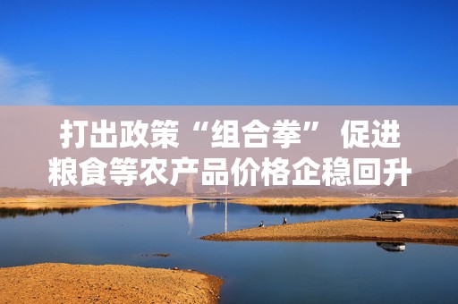 打出政策“组合拳” 促进粮食等农产品价格企稳回升