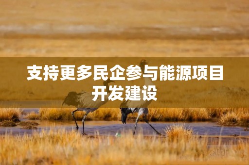 支持更多民企参与能源项目开发建设