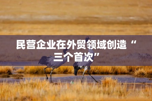 民营企业在外贸领域创造“三个首次”