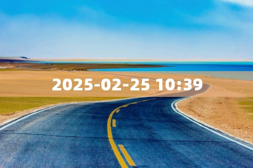 2025-02-25 10:39