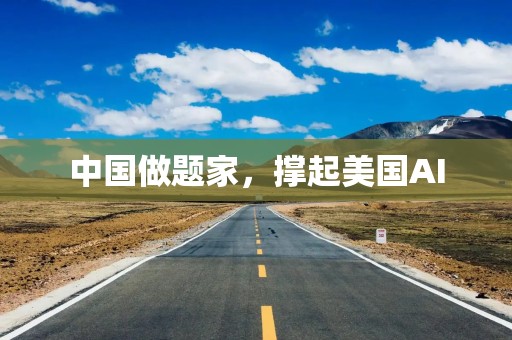 中国做题家，撑起美国AI