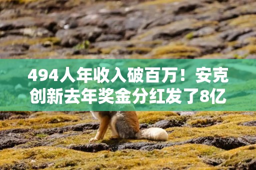 494人年收入破百万！安克创新去年奖金分红发了8亿，特朗普也在用它的充电宝