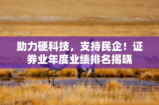 助力硬科技，支持民企！证券业年度业绩排名揭晓