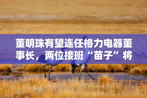 董明珠有望连任格力电器董事长，两位接班“苗子”将首次进入董事会
