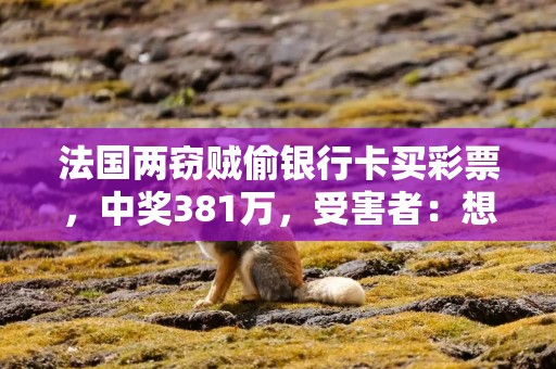 法国两窃贼偷银行卡买彩票，中奖381万，受害者：想分享奖金