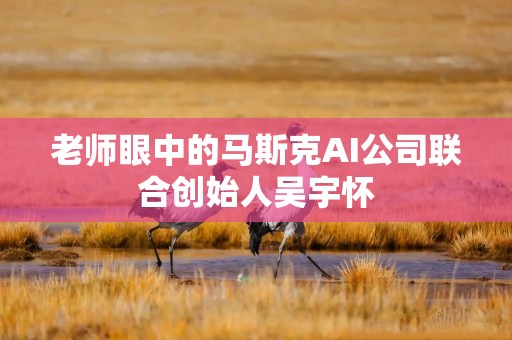 老师眼中的马斯克AI公司联合创始人吴宇怀
