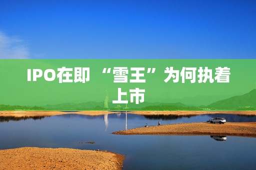 IPO在即 “雪王”为何执着上市