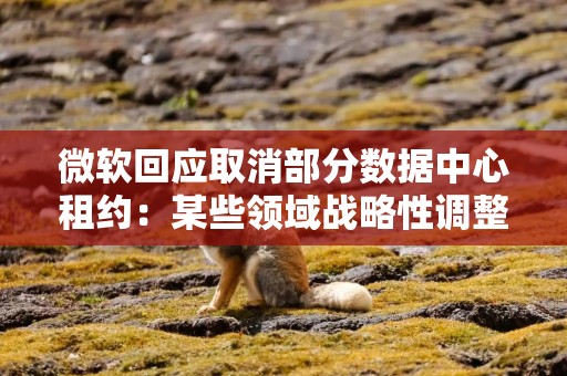 微软回应取消部分数据中心租约：某些领域战略性调整，坚持原定资本支出计划