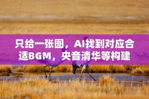 只给一张图，AI找到对应合适BGM，央音清华等构建全球化音乐信息检索新范式