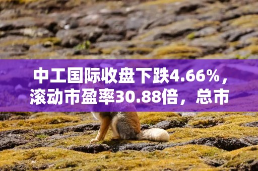 中工国际收盘下跌4.66%，滚动市盈率30.88倍，总市值111.37亿元