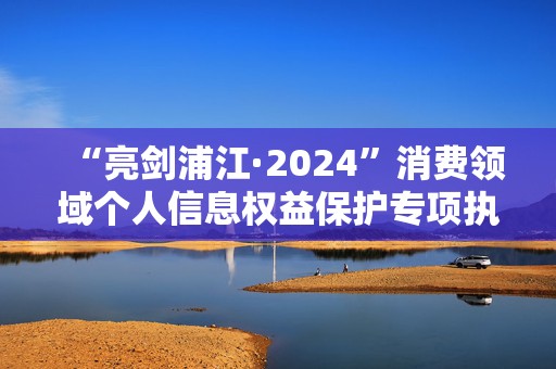 “亮剑浦江·2024”消费领域个人信息权益保护专项执法行动成果发布
