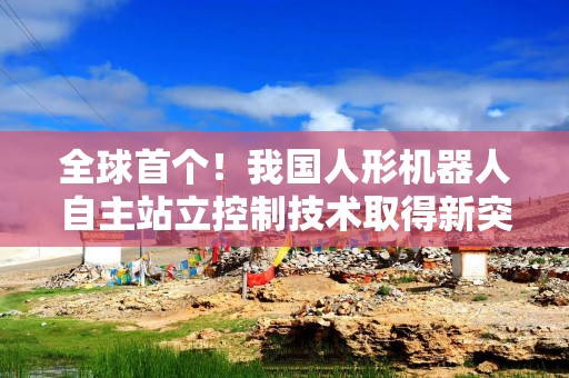 全球首个！我国人形机器人自主站立控制技术取得新突破
