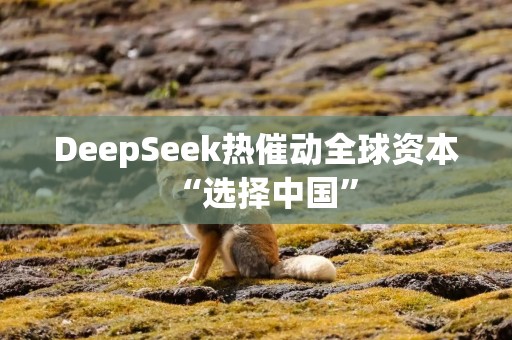 DeepSeek热催动全球资本“选择中国”