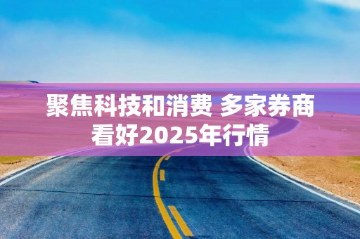聚焦科技和消费 多家券商看好2025年行情