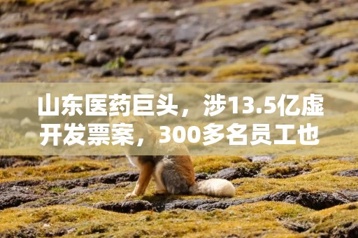 山东医药巨头，涉13.5亿虚开发票案，300多名员工也被坑了