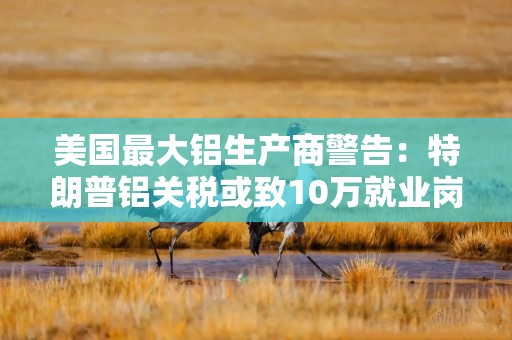 美国最大铝生产商警告：特朗普铝关税或致10万就业岗位流失！
