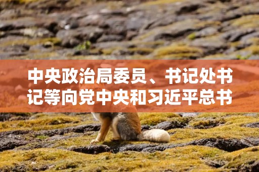 中央政治局委员、书记处书记等向党中央和习近平总书记述职