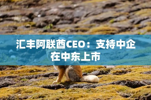 汇丰阿联酋CEO：支持中企在中东上市