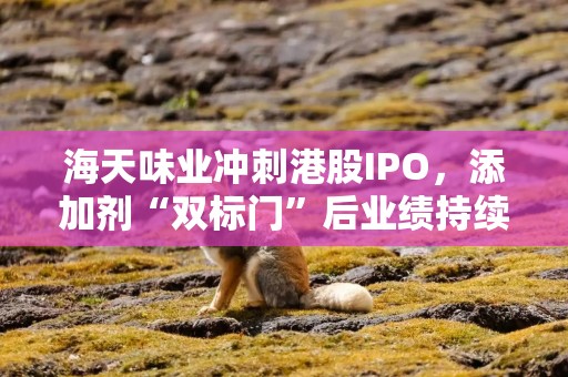 海天味业冲刺港股IPO，添加剂“双标门”后业绩持续承压