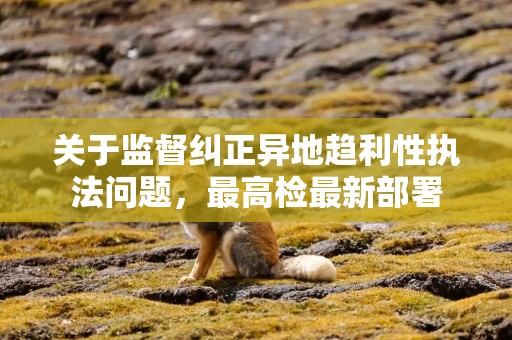 关于监督纠正异地趋利性执法问题，最高检最新部署