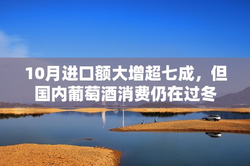 10月进口额大增超七成，但国内葡萄酒消费仍在过冬