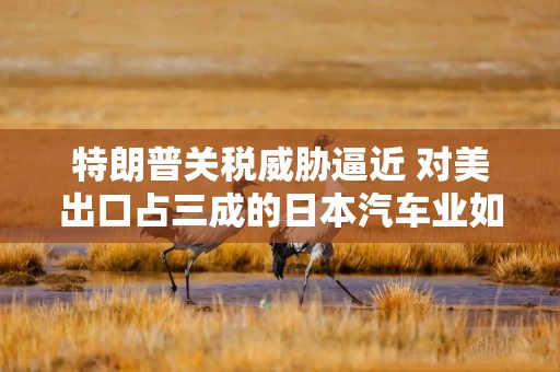 特朗普关税威胁逼近 对美出口占三成的日本汽车业如何应对？