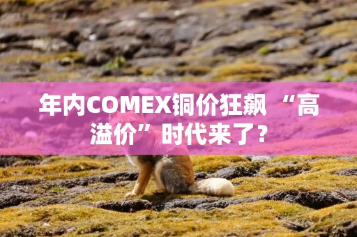 年内COMEX铜价狂飙 “高溢价”时代来了？